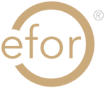 EFOR Healthcare Lille
